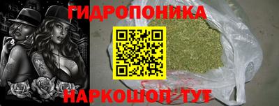 jwh Будённовск
