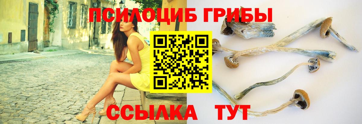 Галлюциногенные грибы Magic Shrooms Татарск