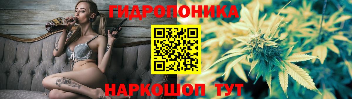 Шишки марихуана THC 21%  Бошки Шишки SATIVA & INDICA  Татарск  Вход с VPN 